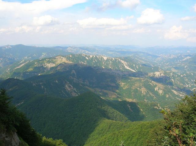 Foreste Casentinesi, Monte Falterona, Campigna National Park